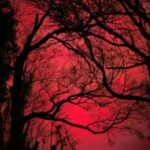 دانلود آهنگ بی کلام Bloody Mary